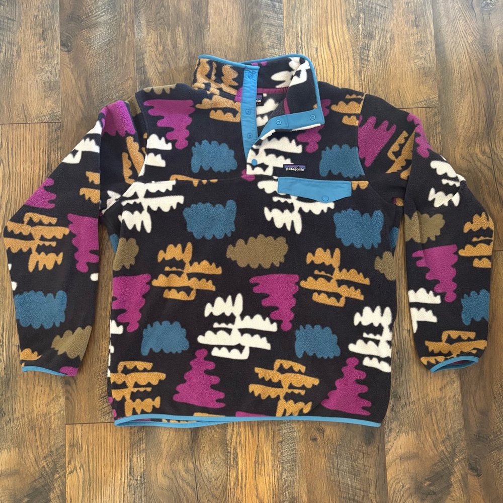 Patagonia Men’s Synchilla Large Multicolor Rare Patterned